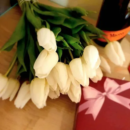 Apartman Sandra Łeba